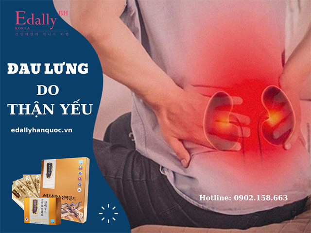 Thận yếu gây đau lưng