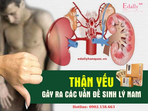 Dấu Hiệu Thận Yếu? Cách Phòng Ngừa Và Điều Trị Thận Yếu?