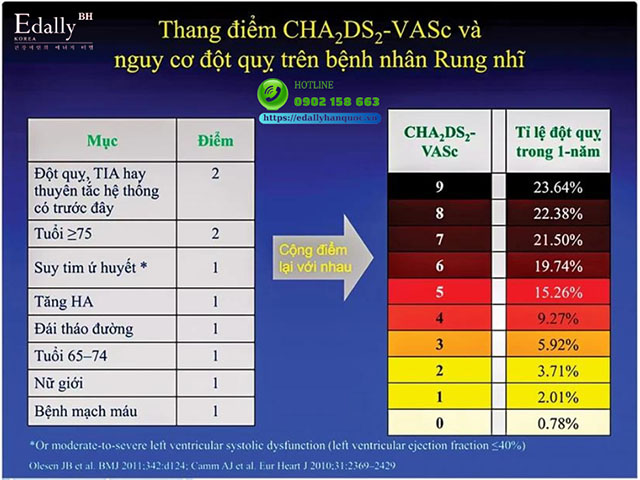 Thang điểm CHA2DS2-VASc đánh giá mức độ đột quỵ và nhồi máu cơ tim ở người bệnh rung nhĩ