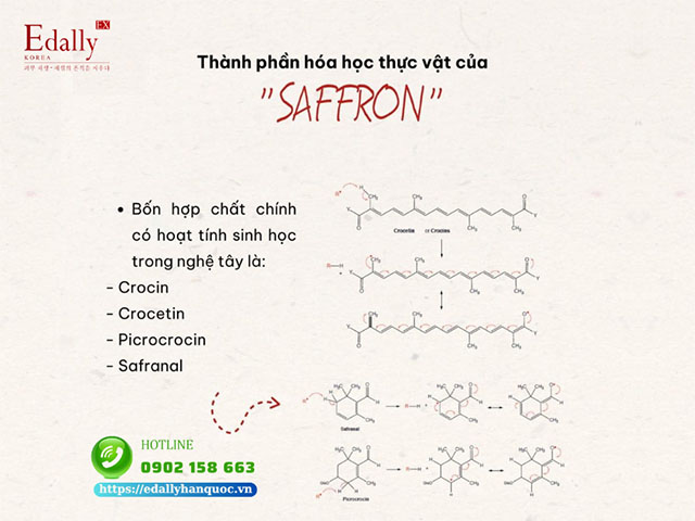 Thành phần hó học thực vật của Nhụy hoa nghệ tây - Saffron