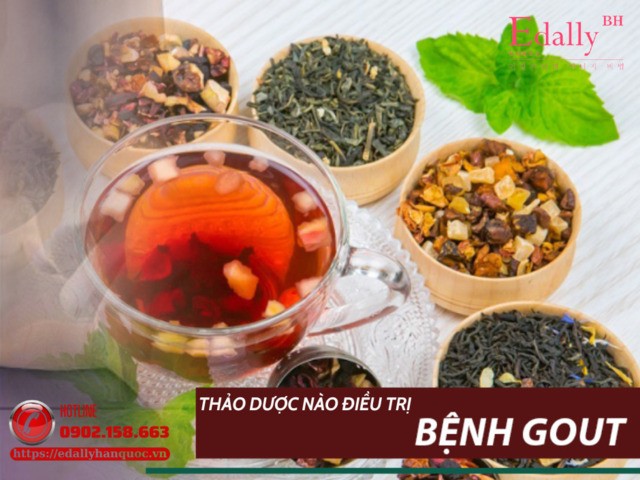 Thảo dược nào trị được bệnh gout mà vẫn an toàn?