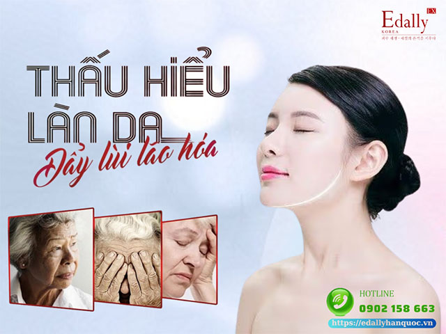 Thấu hiểu về cấu trúc của da người để đẩy lùi lão hóa