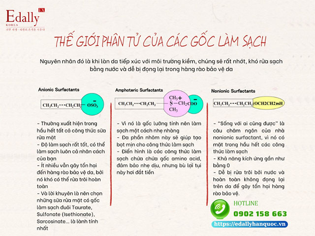 Thế giới phân tử của các gốc tẩy rửa làm sạch