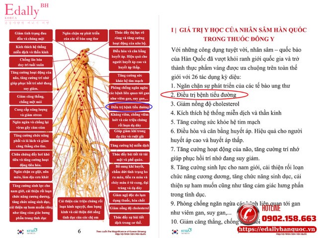 Theo đông y - Nhân sâm Hàn Quốc có tác dụng phòng và điều trị bệnh tiểu đường Theo đông y - Nhân sâm Hàn Quốc có tác dụng phòng và điều trị bệnh tiểu đường