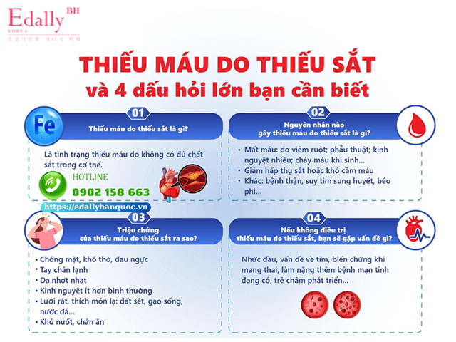 Thiếu sắt là nguyên nhân chính dẫn đến tình trạng thiếu máu