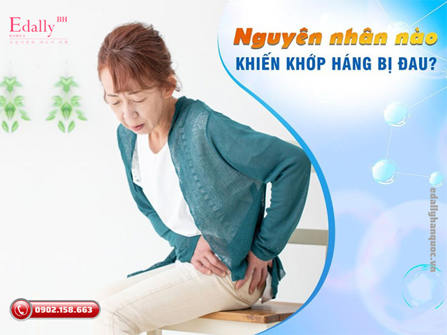 Thoái hóa khớp háng là nguyên nhân chính gây ra tình trạng đau khớp háng