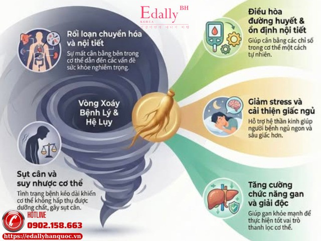 Thoát khỏi vòng xoáy tiểu đường và mất ngủ cùng Nhân sâm Hàn Quốc
