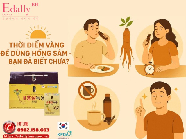 Thời điểm vàng để dùng Hồng sâm bạn đã biết chưa?