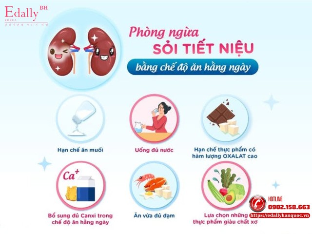 Thói Quen Lành Mạnh Phòng Ngừa Sỏi Thận, Sỏi Tiết Niệu Hiệu Quả