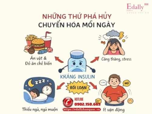 Thứ Đang Phá Hủy Chuyển Hóa Của Bạn Mỗi Ngày Mà Bạn Không Để Ý