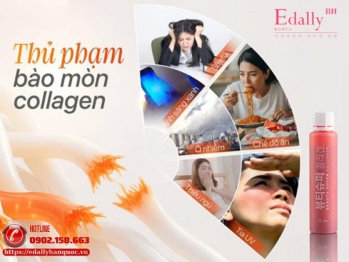 Thủ Phạm Bào Mòn Collagen Của Cơ Thể