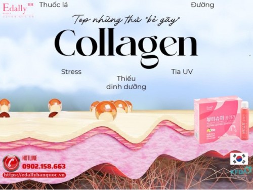 Phát Hiện Thủ Phạm Đánh Cắp Collagen, Đều Là Kẻ Quen Mặt Đến Bất Ngờ