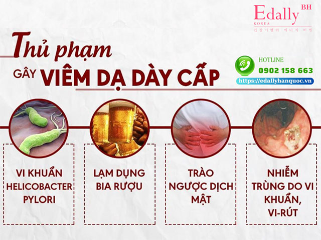 Thủ phạm gây bệnh viêm dạ dày cấp