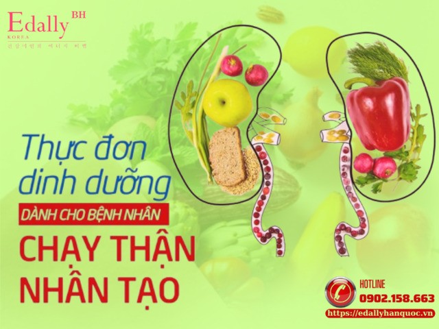 Thực đơn dinh dưỡng cho người bệnh suy thận phải chạy thận nhân tạo