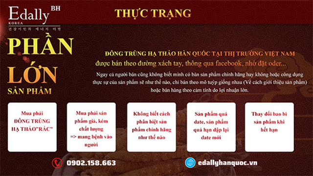 Thực trạng thị trường Đông trùng hạ thảo Hàn Quốc tại An Giang và Việt Nam hiện nay