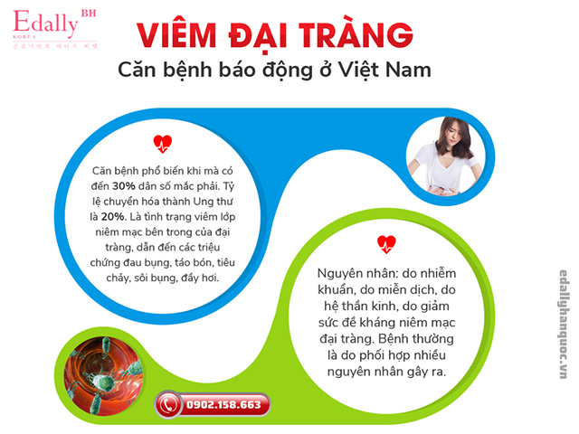 Thực trạng bệnh viêm đại tràng cấp và mạn tính tại Việt Nam