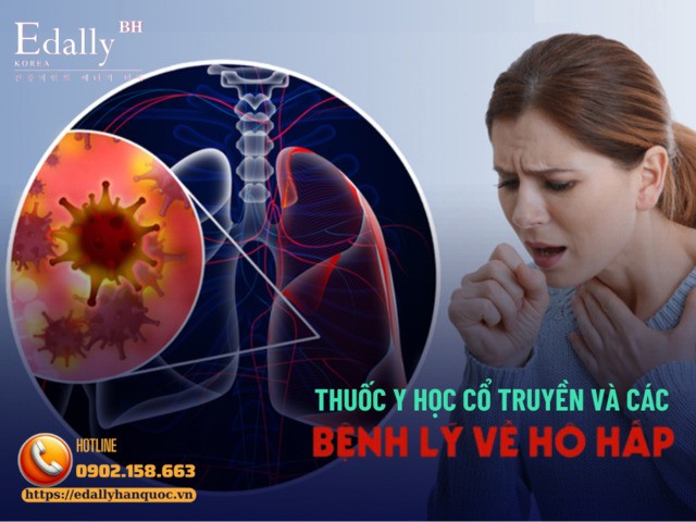 Thuốc y học cổ truyền (YHCT) và các bệnh lý về hô hấp