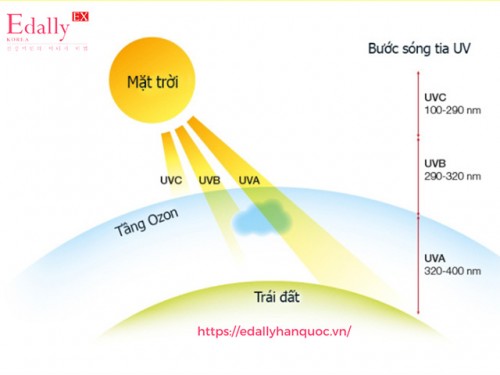 Tia Cực Tím / Tia UV / Tia Tử Ngoại Là Gì?