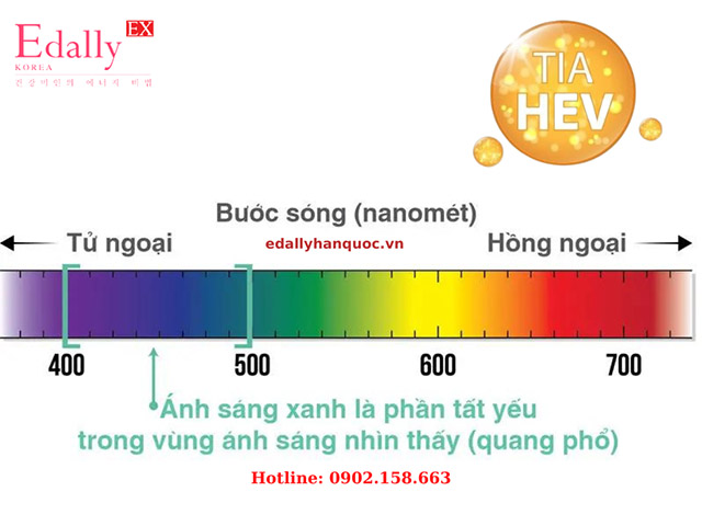 Tia HEV có bước sóng trong khoảng 400 - 500 nm và mang lại nhiều tác hại đối với làn da