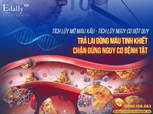 Mỡ Máu Cao - Sát Thủ Thầm Lặng Nhưng Có Thể Đẩy Lùi