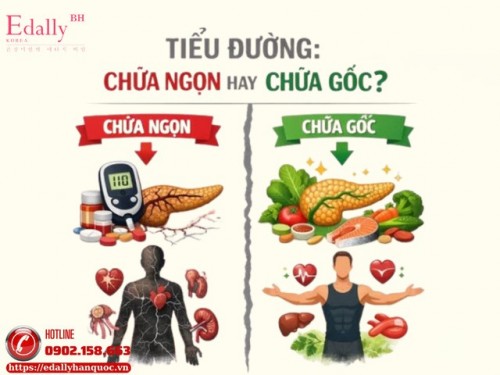 Giảm Đường Huyết Mà Không Phục Hồi Tụy Là Đang Chữa Ngọn