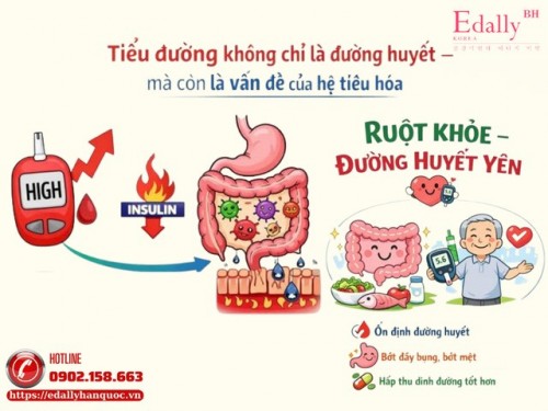 Bệnh Tiểu Đường Không Chỉ Là Đường Huyết - Mà Còn Là Vấn Đề Của Hệ Tiêu Hóa