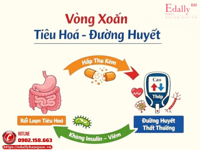 Người bệnh tiểu đường và vòng xoáy tiêu hóa - đường huyết