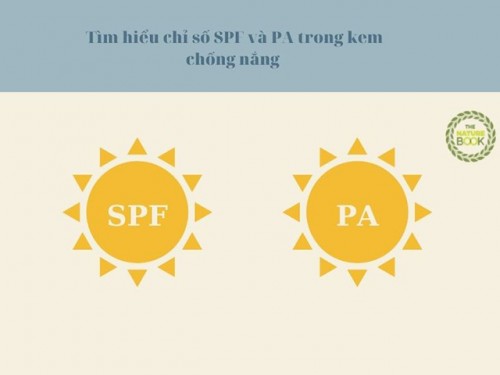 Bạn Đã Hiểu Về Chỉ Số SPF và PA Trên Kem Chống Nắng?