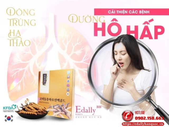 Cách phòng ngừa các bệnh lý đường hô hấp (Cảm cúm, viêm họng, viêm phế quản, viêm phổi, hen phế quản…)