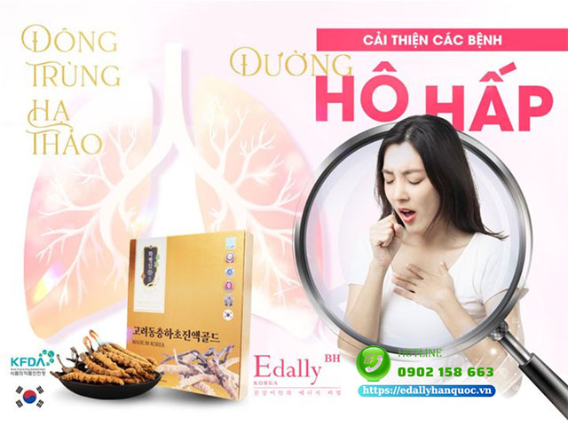 Tinh chất đông trùng hạ thảo Edally Hwa Pyung Sam - Lựa chọn hàng đầu giúp phòng ngừa và hỗ trợ điều trị bệnh phổi tắc nghẽn mãn tính (COPD)