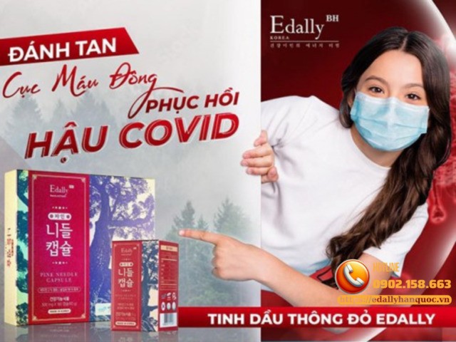 Tinh dầu thông đỏ Hàn Quốc Edally Pine Needle Capsule - Bí quyết đánh tan cục máu đông hậu COVID-19