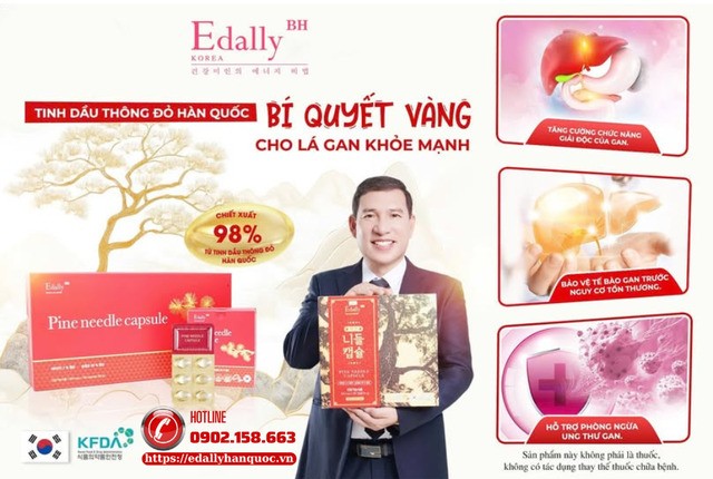 Tinh dầu thông đỏ Hàn Quốc Edally Pine Needle Capsule - Bí quyết đẩy lùi gan nhiễm mỡ, ngăn ngừa bệnh xơ gan và ung thư gan