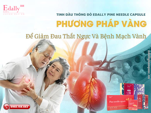 Tinh dầu thông đỏ Hàn Quốc Edally Pine Needle Capsule là phương pháp vàng giảm đau thắt ngực và bệnh mạch vành hiệu quả