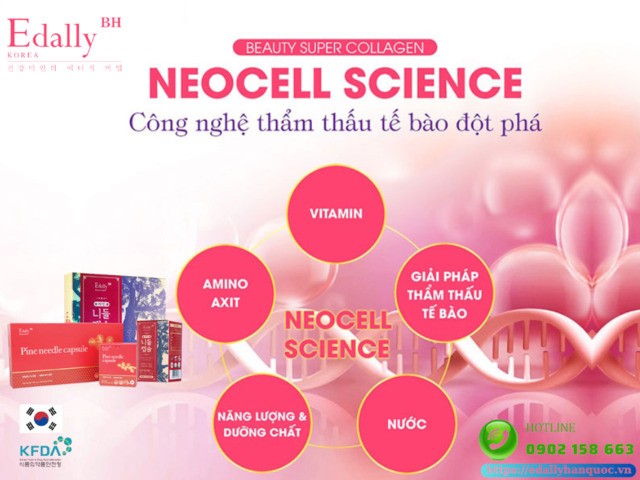 Tinh dầu Thông đỏ Edally Pine Needle Capsule Hàn Quốc nhập khẩu, chính hãng được sản xuất theo công nghệ "Thẩm thấu tế bào đột phá - Neocell Science"
