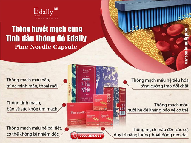 Tinh dầu thông đỏ Hàn Quốc Edally Pine Needle Capsule - Giải pháp thông huyết mạch cho người bị rối loạn tuần hoàn máu não