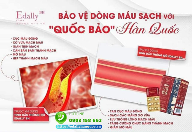 Tinh dầu thông đỏ Hàn Quốc Edally Pine Needle Capsule - Giải pháp phòng ngừa và điều trị bệnh động mạch chi dưới (PAD)