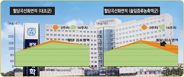 Tác dụng của Tinh Dầu Thông Đỏ Hàn Quốc giúp giảm đường huyết được nghiên cứu của Bệnh viện Trường đại học Seoul - Cơ sở Bundang