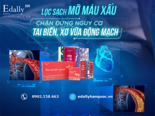 Bệnh Mỡ Máu Cao Có Chữa Khỏi Được Không?