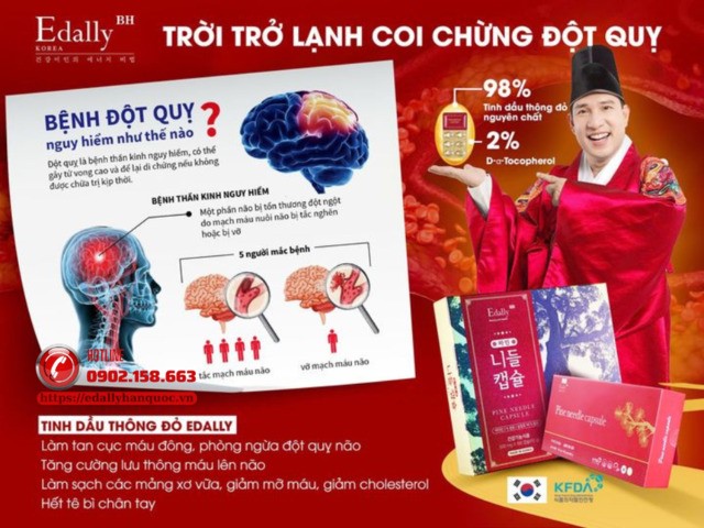 Tinh dầu thông đỏ Hàn Quốc - Giảm mỡ máu, phá hủy cục máu đông, phòng chống đột quỵ não