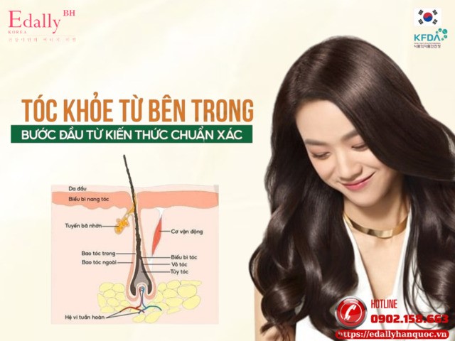 Tóc khỏe từ bên trong - Bước đầu từ kiến thức chuẩn xác