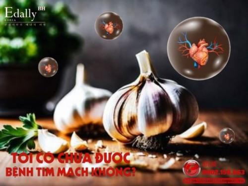 Tỏi Có Thực Sự Chữa Được Bệnh Tim Mạch?