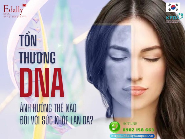 Tổn thương DNA ảnh hưởng như thế nào đến cấu trúc của làn da?