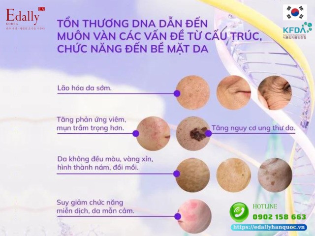 Tổn thương DNA da dẫn đến hàng loạt các vấn đề từ cấu trúc, chức năng và bề mặt da