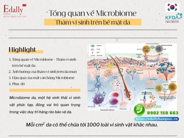 Tổng quan về thảm vi sinh vật trên da (Microbiome)