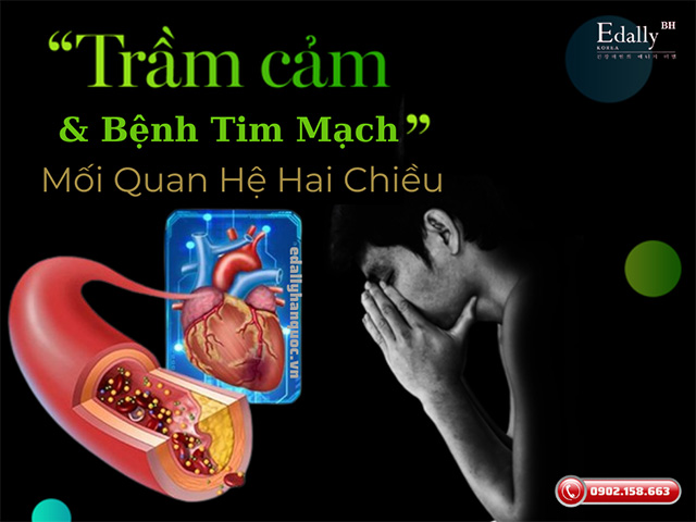 Trầm cảm và bệnh lý tim mạch - Sức khỏe tinh thần cũng quan trọng