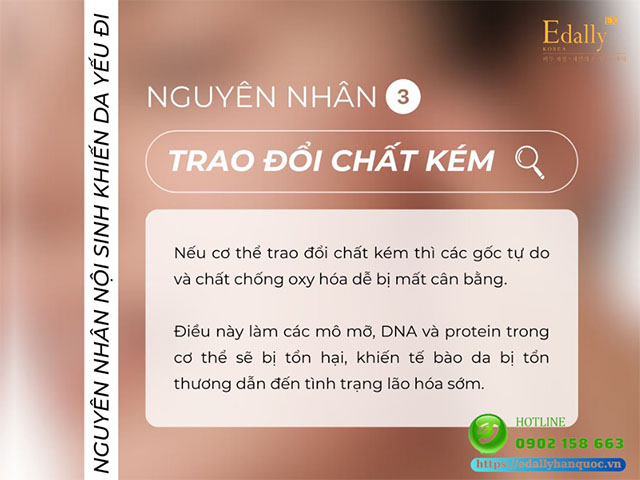 Trao đổi chất kém là nguyên nhân nội sinh khiến da bị suy yếu