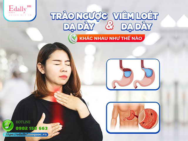 Bệnh trào ngược dạ dày và viêm loét dạ dày khác nhau như thế nào?