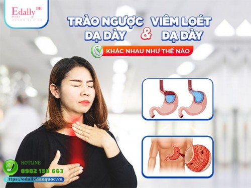 Trào Ngược Dạ Dày Và Viêm Loét Dạ Dày Khác Nhau Như Thế Nào?