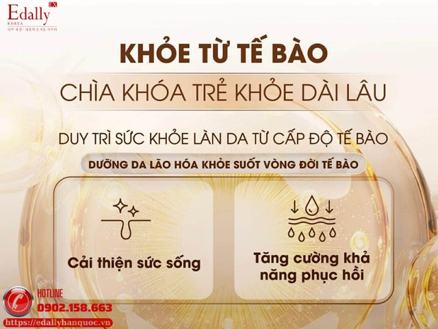 Khỏe từ tế bào là chìa khóa chống lão hóa và trẻ khỏe dài lâu Khỏe từ tế bào là chìa khóa chống lão hóa và trẻ khỏe dài lâu