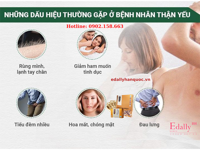 Những triệu chứng thường gặp của bệnh thận yếu